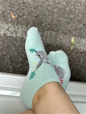 Mint Green Sloth Ankle Socks From Hot Sox Women’s